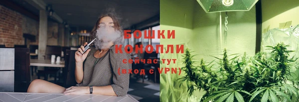PSILOCYBIN Красноперекопск