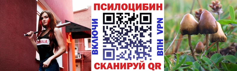 Купить где  Химки  Псилоцибиновые грибы Magic Shrooms 